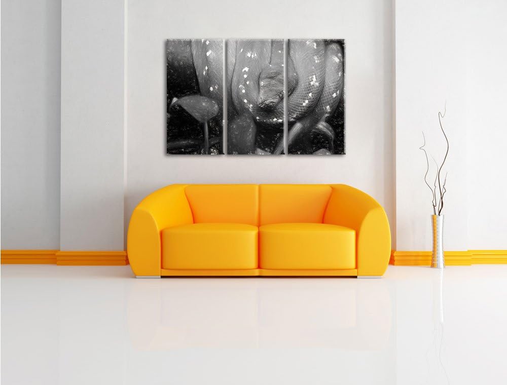 Pixxprint grüne Schlange als Leinwandbild/Grösse: 3 Teilig (120x80) cm/Wandbild/Kunstdruck/fertig be