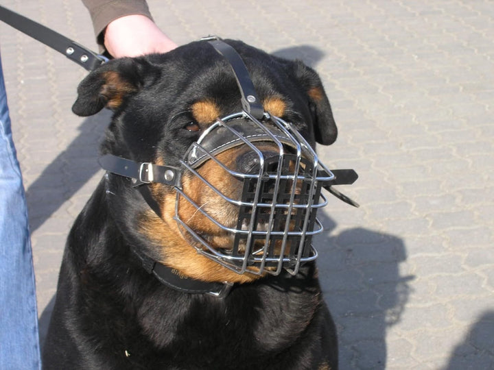 Dingo Mettal Maulkorb mit Kunststoffgitter Nr.7a Drahtmaulkorb für Hundetraining Handarbeit leicht K