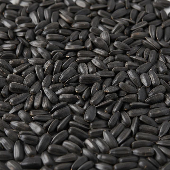 Sonnenblumenkerne Schwarz 15 Kg Vogelfutter