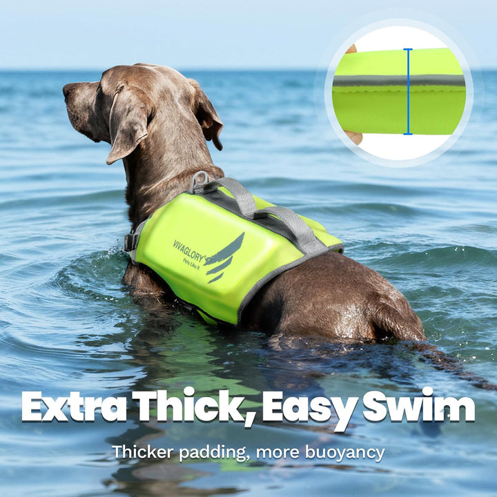 VIVAGLORY Hunde Schwimmweste High Buoyancy Hundeschwimmweste, XL, Neongelb | Rettungswesten Hunde-Sc