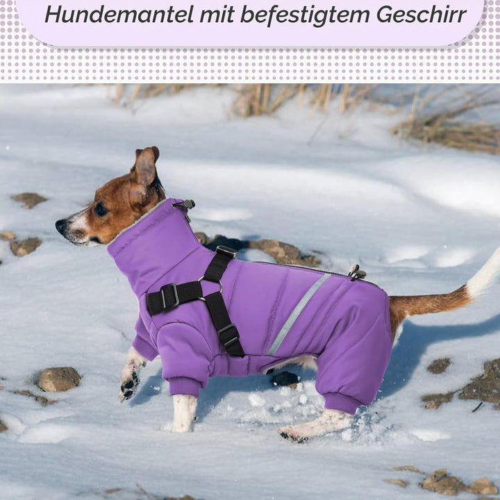 Wasserdichter Hundemantel, Hundejacke mit Geschirr, Wintermantel Hund für kleine Mittel Grosse Hunde