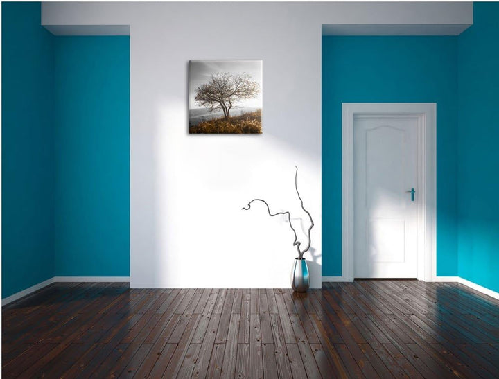 Pixxprint Einsamer Baum auf Berg als Leinwandbild/Grösse: 70x70 cm/Wandbild/Kunstdruck/fertig bespan