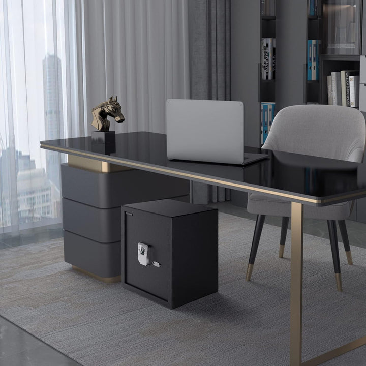 WASJOYE 38.08L Fingerabdruck Tresor Safe, Gross Tresor mit Zahlenschloss, Biometrischer Möbeltresore