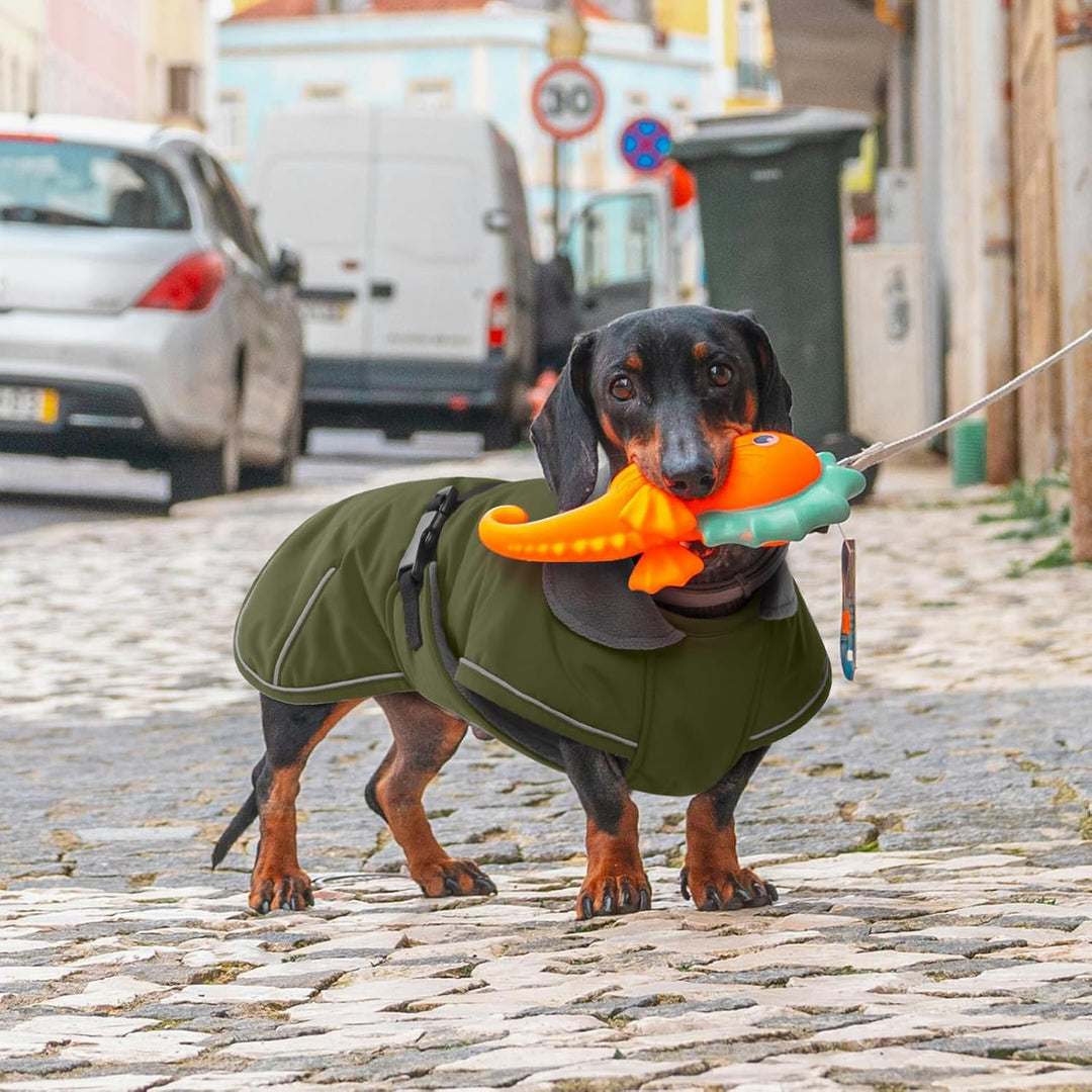 Hundemantel Dackel XS, Winddichter Wasserdichter Wintermantel Für Dackel Hunde, Hundejacke Für Klein