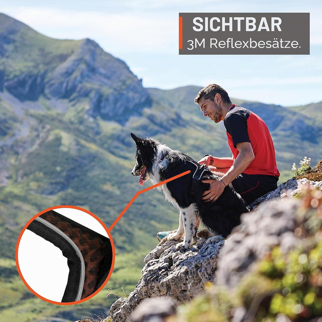 Non-Stop dogwear Rock Harness |130| Führ und Alltagsgeschirr, Grösse:L Schwarz L, Schwarz L