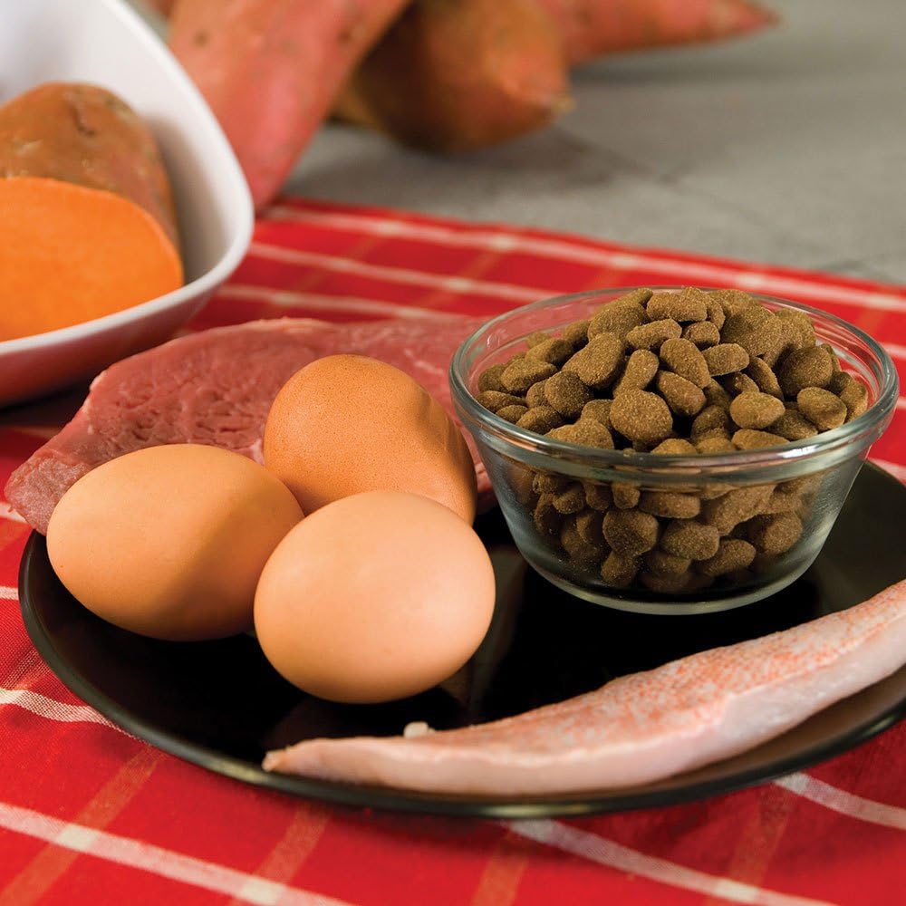 Orijen Hundefutter Regional Red 13kg