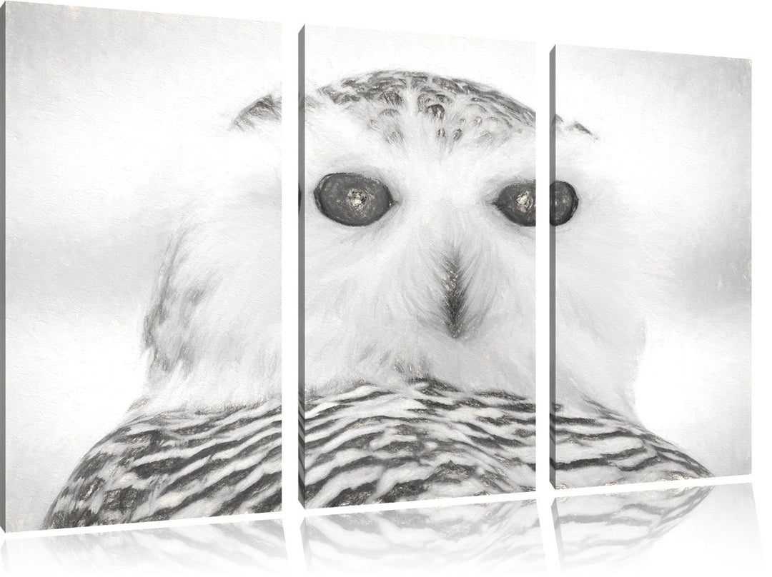 Pixxprint Schnee-Eule als Leinwandbild/Grösse: 3 Teilig (120x80) cm/Wandbild/Kunstdruck/fertig bespa