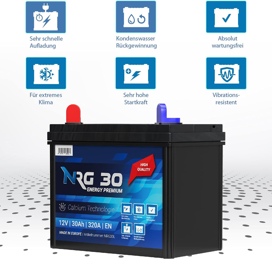 NRG Premium Batterie 30Ah 12V Rasentraktor Aufsitzmäher Plus Pol Links Fleurelle MTD Partner John De