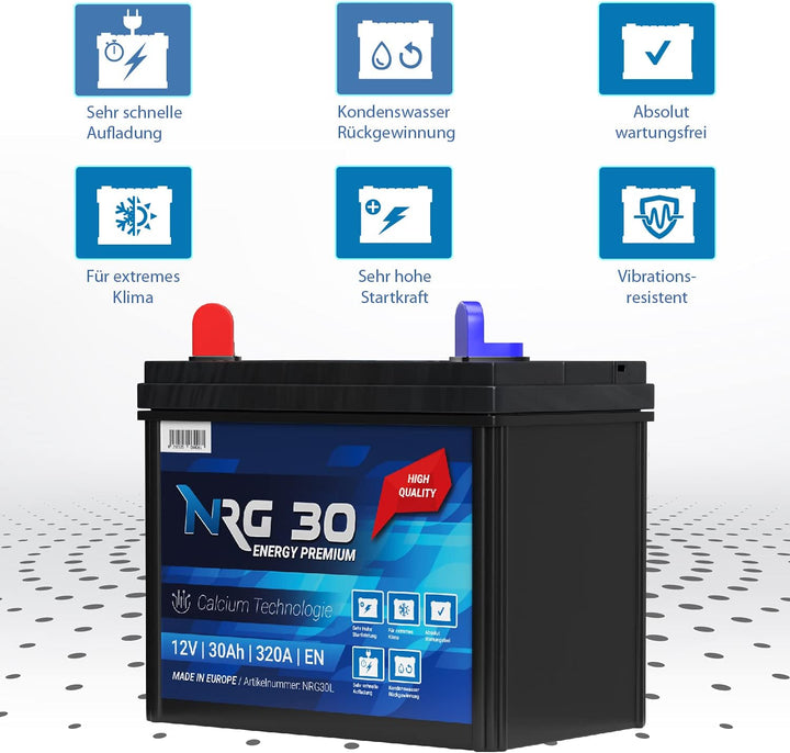 NRG Premium Batterie 30Ah 12V Rasentraktor Aufsitzmäher Plus Pol Links Fleurelle MTD Partner John De
