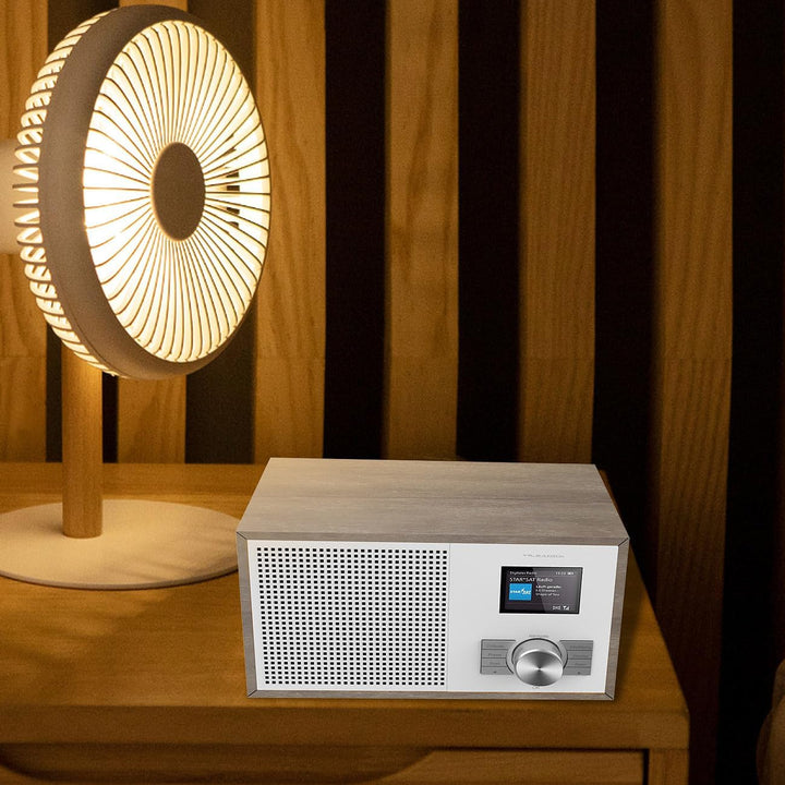 VR-Radio Digitalradio: Digitales DAB+-Radio, 2,4"/6,1-cm-Farbdisplay, Bluetooth, Holzgehäuse (Radiow