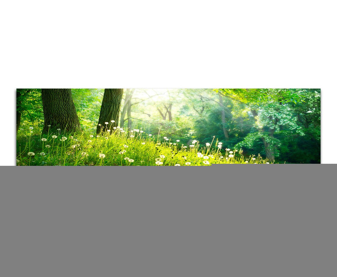 Paul Sinus Art Panoramabild auf Leinwand und Keilrahmen 150x50cm Wald Wiese Pusteblumen Frühling Son