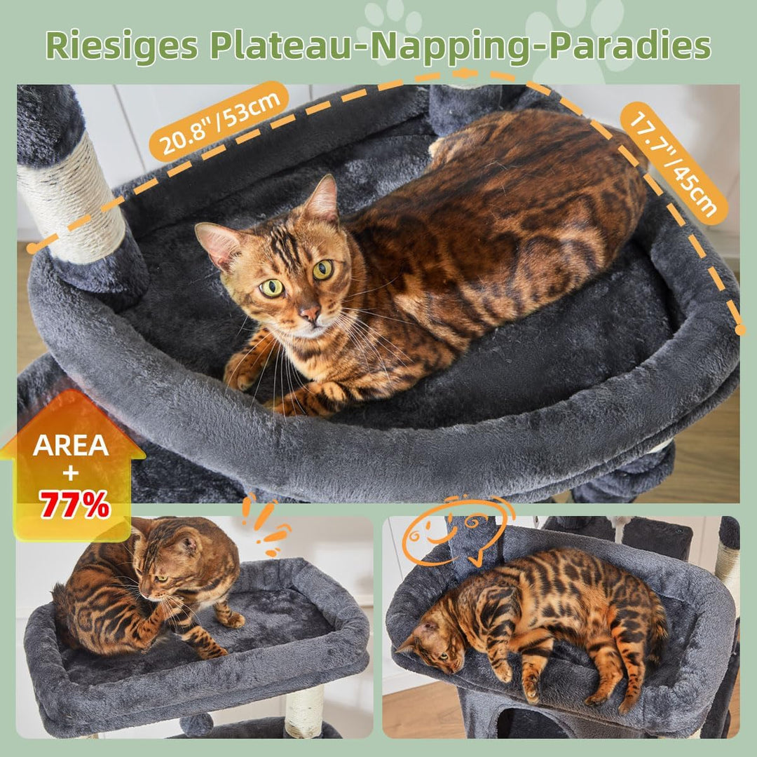Taoqimiao 180CM Kratzbaum Gross xxl, Katzenbaum Grosse Katzen Stabil kratzbaum Maine Coon mit Katzen