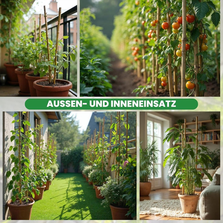 PLANTAWA Bambusstäbe 90 cm Packung mit 25 Stück Ø 10-12 mm | Pflanzstab Bambusstab Gemüse, Tomaten u