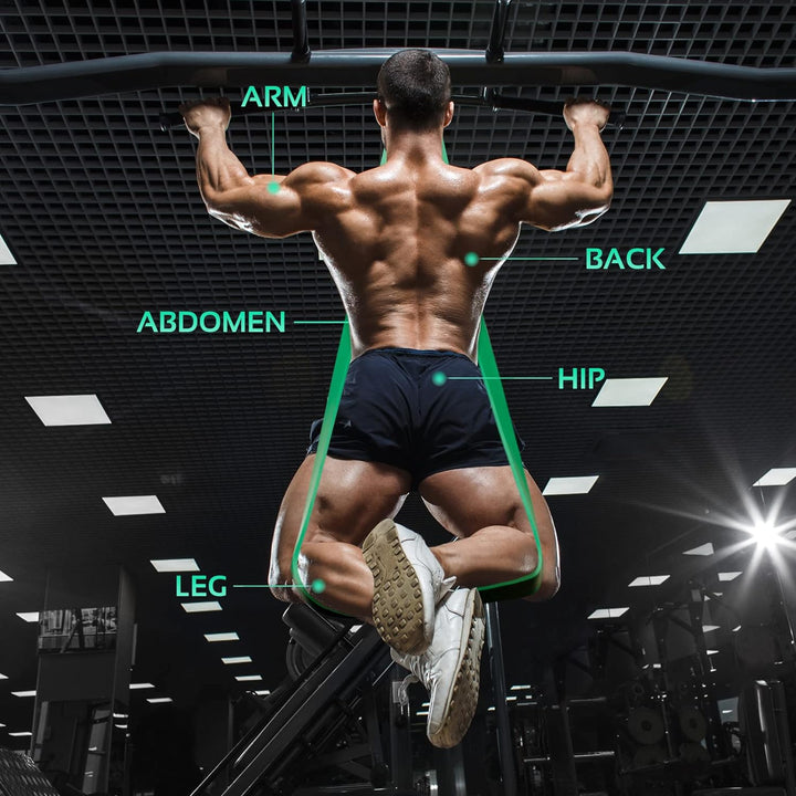 TheFitLife Widerstandsbänder für Klimmzüge, Trainingsbänder, Lange Workout-Bänder für Körperdehnung,