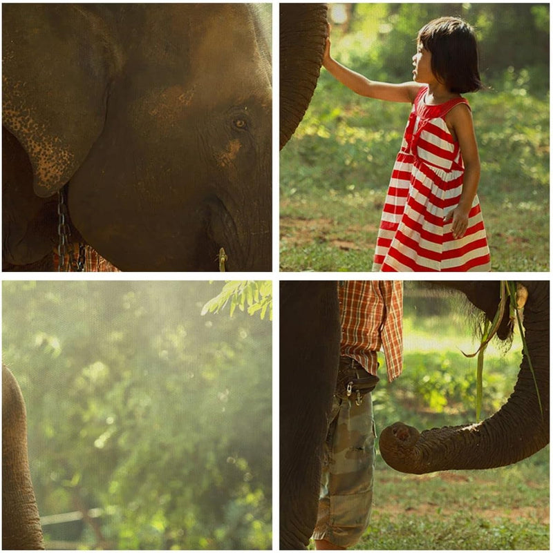 Panorama Bilder auf Leinwand 100x40cm Leinwandbild mit Rahmen Elefant Tier Gross Wanddeko Bild Schla