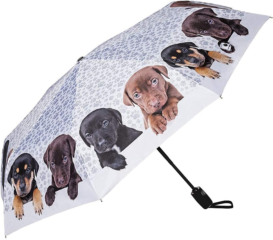 VON LILIENFELD Regenschirm Taschenschirm Welpenquartett Windfest Auf-Zu-Automatik Kinderschirm Stabi
