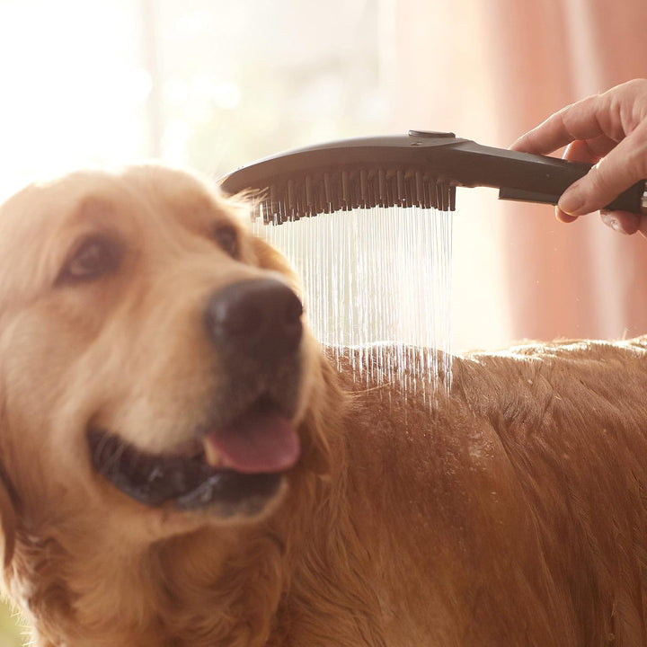 hansgrohe Hundedusche DogShower, Brause wassersparend mit 3 Strahlarten zur Fellpflege von Hunden un