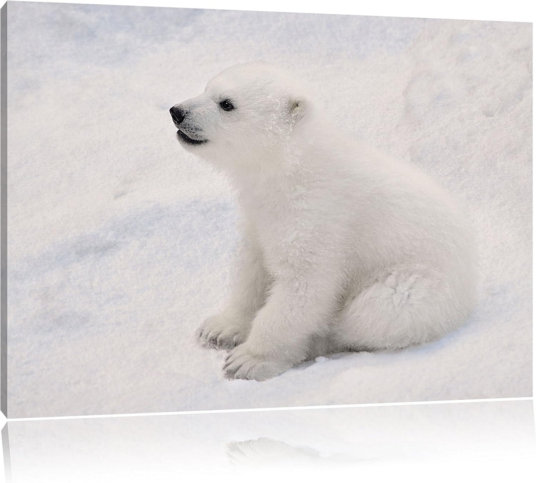 niedliches Eisbär Baby, Format: 100x70 auf Leinwand, XXL riesige Bilder fertig gerahmt mit Keilrahme