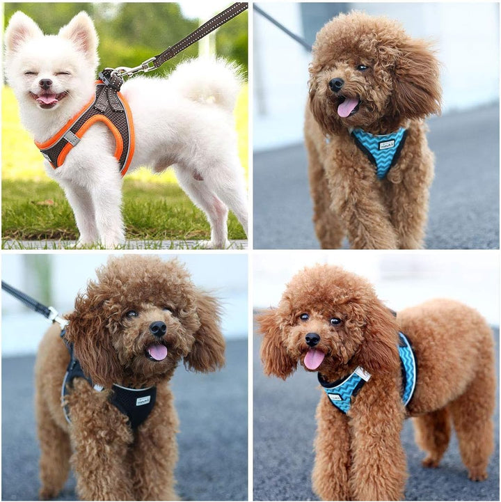 Hundegeschirr mit Leine, Anti Zug Geschirr Reflektierend Brustgeschirr für Kleine Hunde, Haustiere,