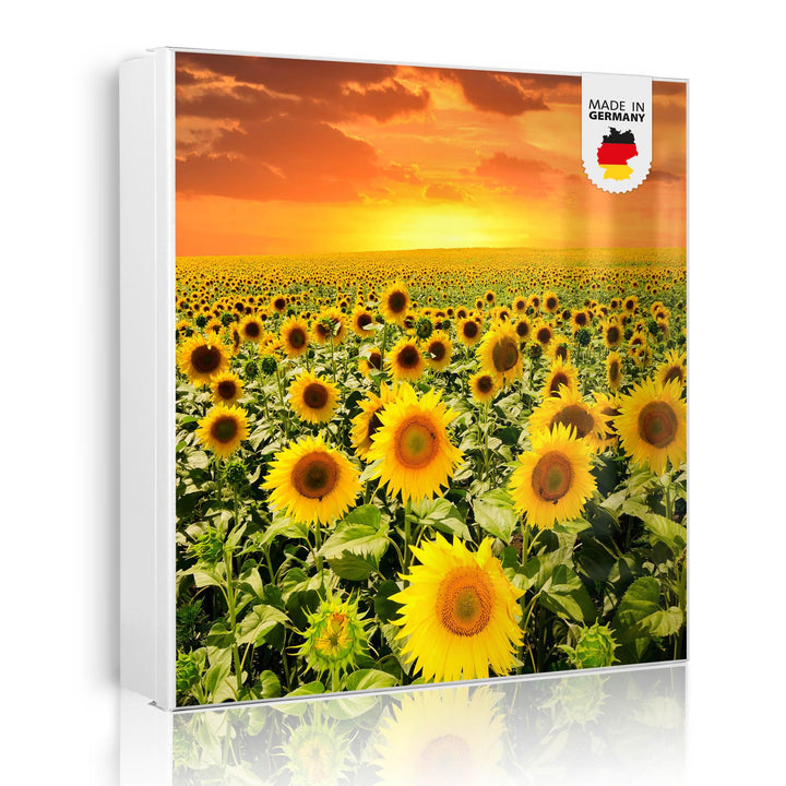 banjado® Grosser Schlüsselkasten Glas/Schlüsselbox 30cm x 30cm mit 50 Haken - Motiv Sonnenblumenmeer