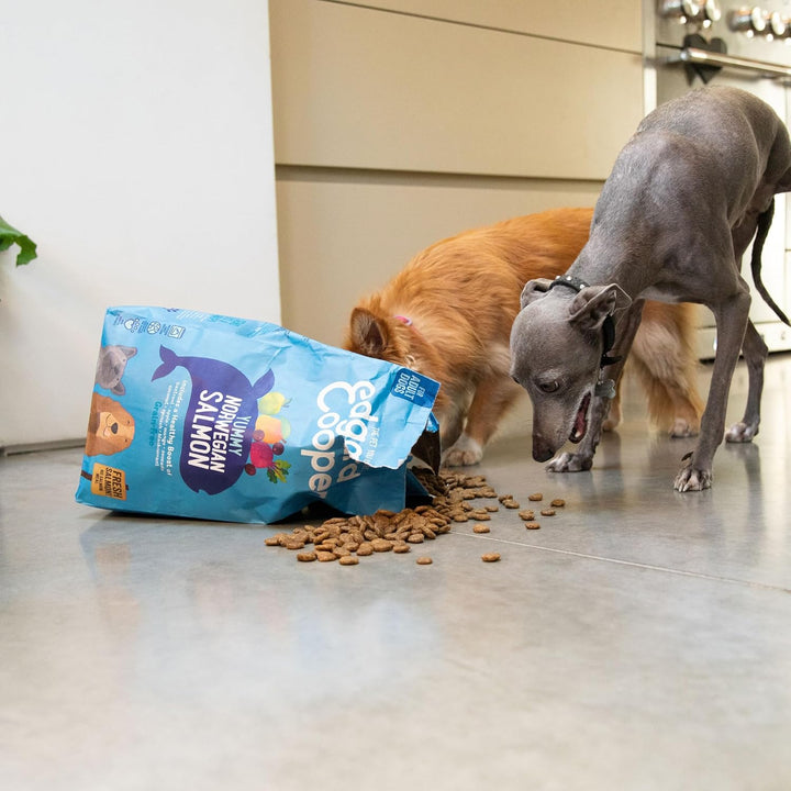 Edgard & Cooper Frischer Norwegischer Lachs, Trockenfutter für ausgewachsene Hunde, getreidefrei, ve
