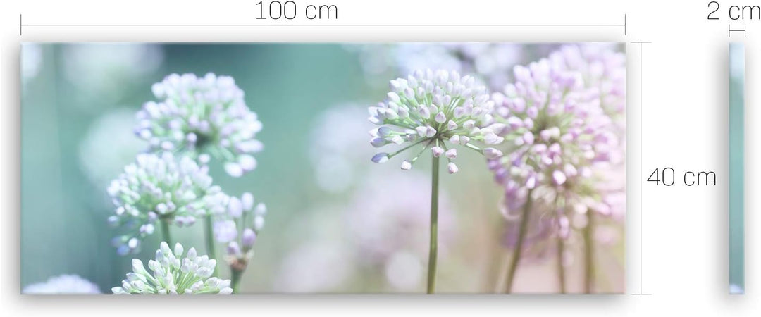 ge Bildet Bild auf Leinwand | Flowering Onion in 100x40 cm als Panorama Wandbild | Wand-deko Dekorat