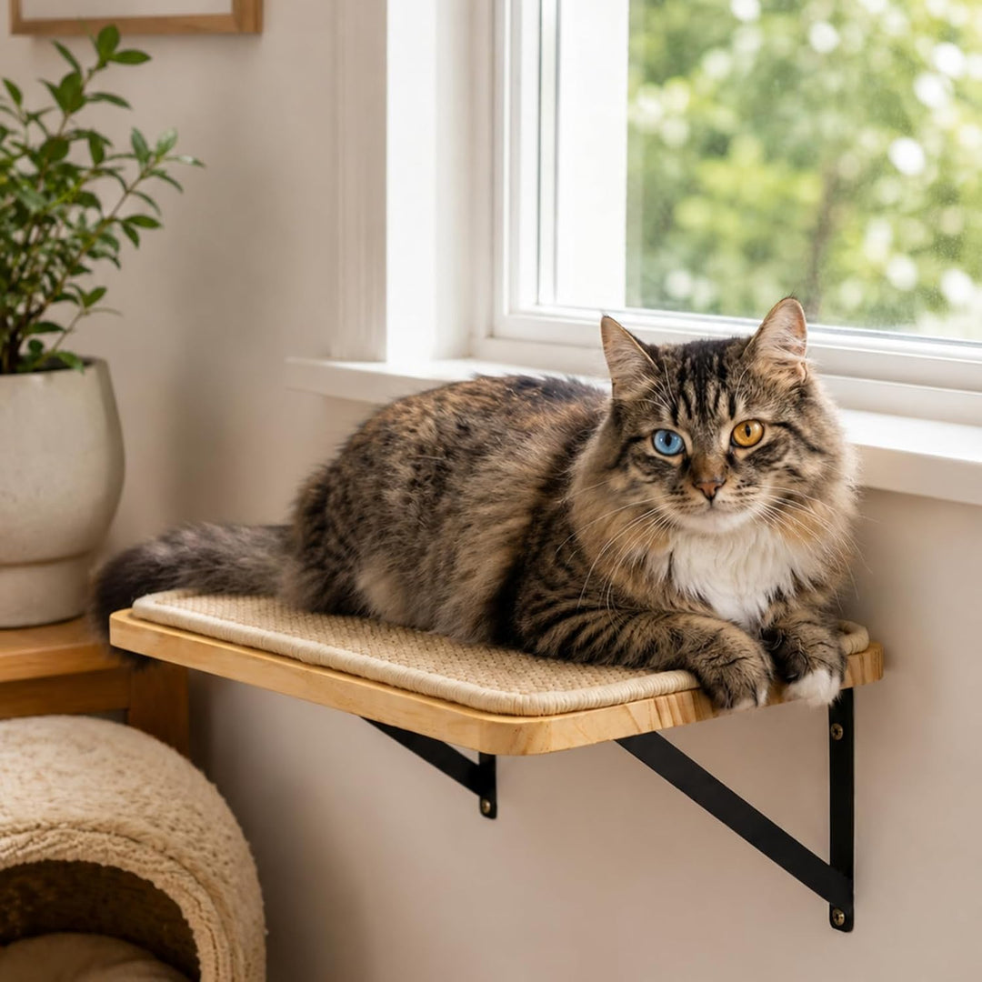 Katzen Kletterwand, Katzenwandmöbel mit Kratzmatte, Wandmontiertes Massivholz Schlafplattform für Kl