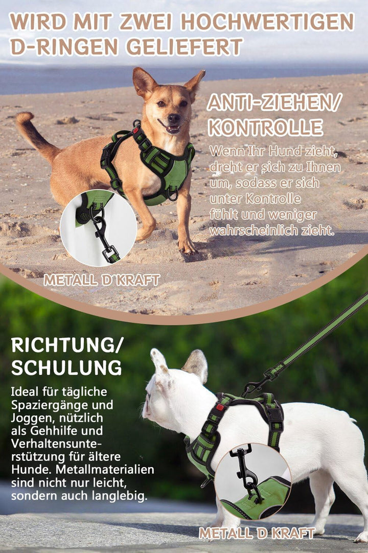 [Neueste Hundegeschirr] BaoCheng Anti Pull Hundegürtel,Kleine/mittlere/grosse Hunde,Atmungsaktives M