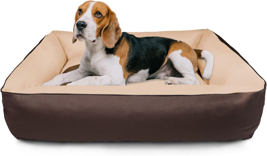 BedDog Hundebett 2in1 MAXQ, Hundekissen mit abziehbaren waschbaren Bezug, Hundekorb, Hundesofa, für
