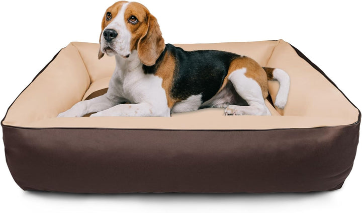 BedDog Hundebett 2in1 MAXQ, Hundekissen mit abziehbaren waschbaren Bezug, Hundekorb, Hundesofa, für