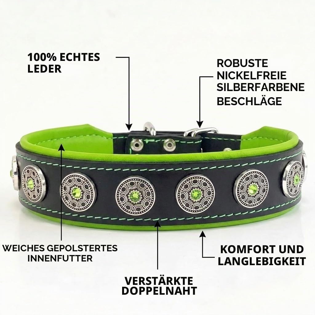 Bestia Bijou Hundehalsband mit Zierconchos. 100% Leder. Weich gepolstert. Handgefertigt in Europa! M