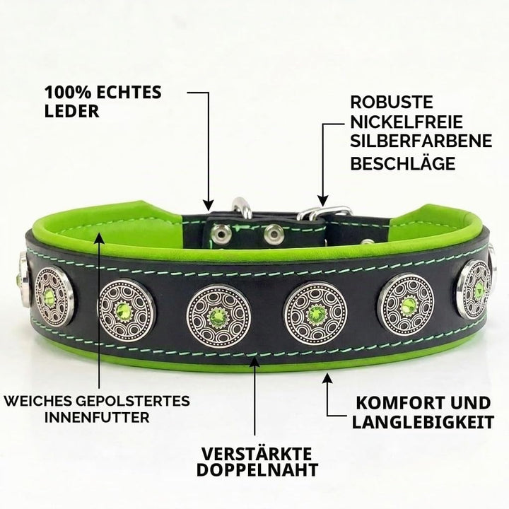Bestia Bijou Hundehalsband mit Zierconchos. 100% Leder. Weich gepolstert. Handgefertigt in Europa! M
