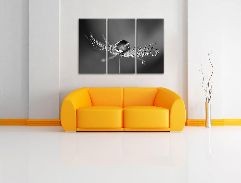 Pixxprint Wassertropfen auf Einer Pusteblume / 3-Teilig/Gesamtmass 120cm Leinwandbild bespannt auf H