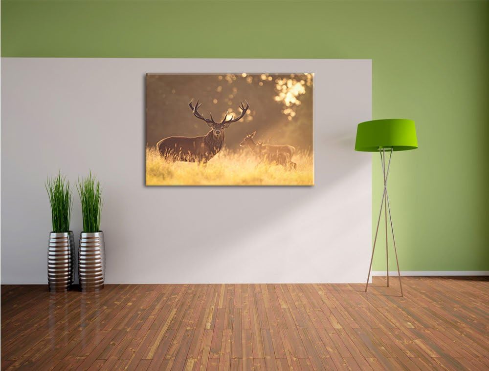 Pixxprint Rotwild im goldenen Morgenlicht als Leinwandbild/Grösse: 100x70 cm/Wandbild/Kunstdruck/fer