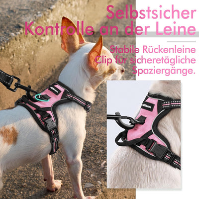 rabbitgoo Hundegeschirr Kleine Hunde Anti Zug Geschirr Hund mit Kontrolle No Pull Verstellbar Hundeg