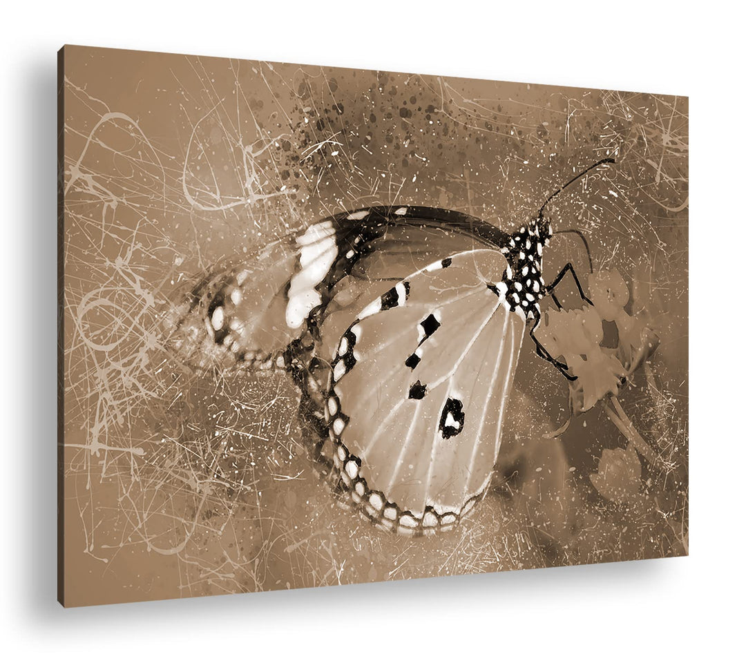deyoli kleiner Schmetterling auf Nahrungssuche Format: 80x60 als Leinwand, Effekt: Sepia, Motiv fert