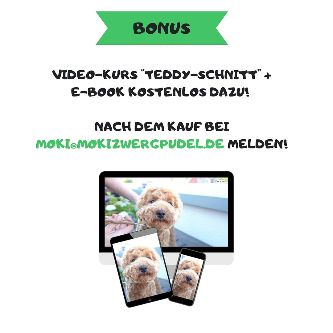 Moki Bär Softbürste Hundebürste Pudel mit Schutznoppen für besonders empfindliche Tiere I Ideal für