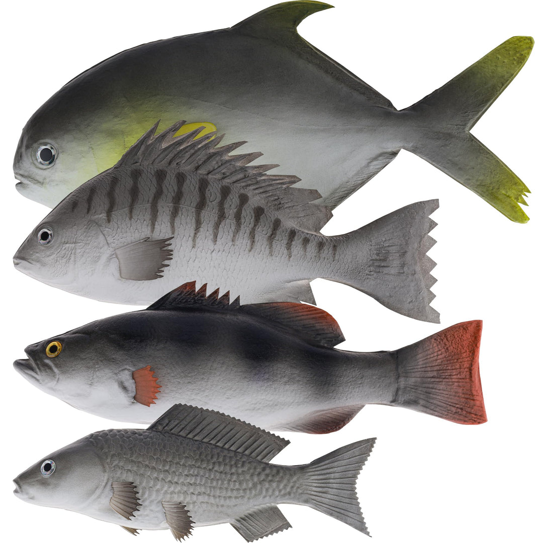 4 Stück Künstliche Fische Realistische Kunststoff Fisch Deko Simulation Lebensmittel Modell Lebensec