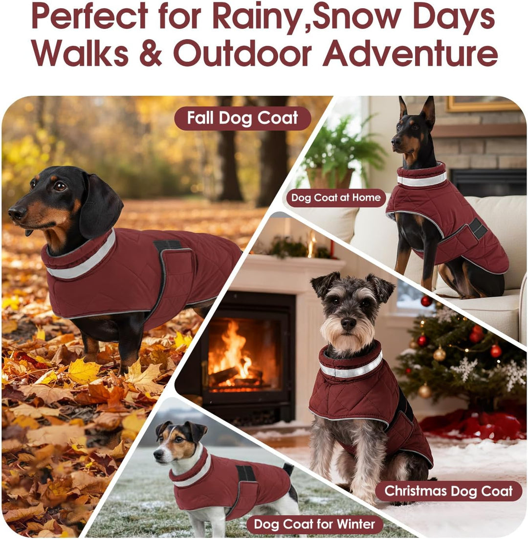 ASENKU Hundemantel Winter - Wasserdicht &amp; Fleecegefüttert für kleine Hunde S Rot, S Rot