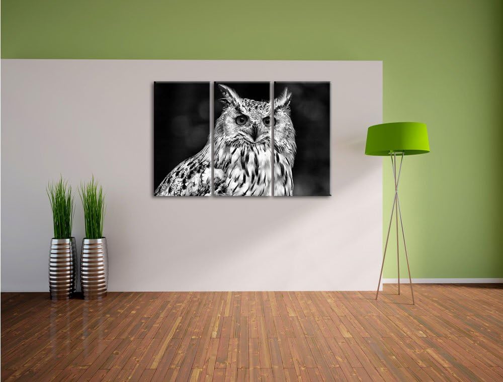 Pixxprint Monocrome, aufmerksame Waldohreule 3-Teiler Leinwandbild 120x80 Bild auf Leinwand
