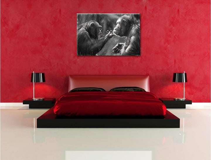 Pixxprint Schimpansen Freundschaft Kunst / 100x70cm Leinwandbild bespannt auf Holzrahmen/Wandbild Ku