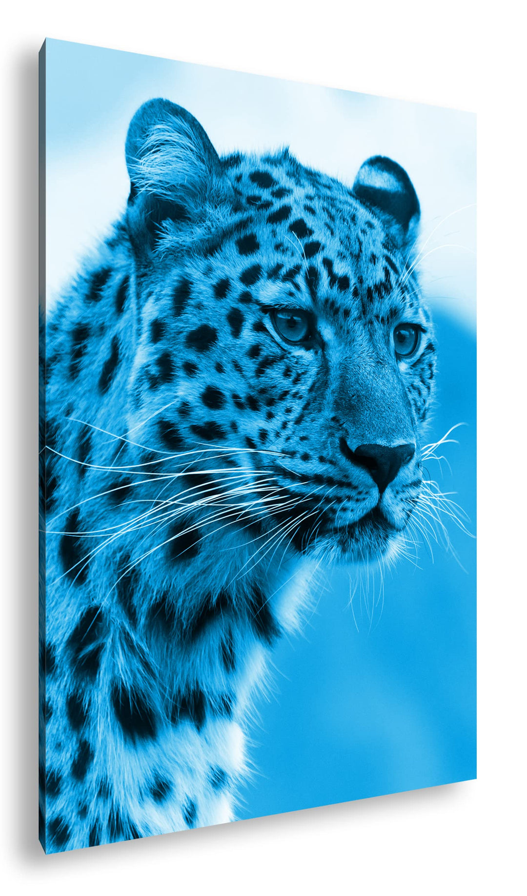 deyoli süsser Leopard Format 100x70 Effekt: Monocrome Blau als Leinwandbild, Motiv fertig gerahmt au