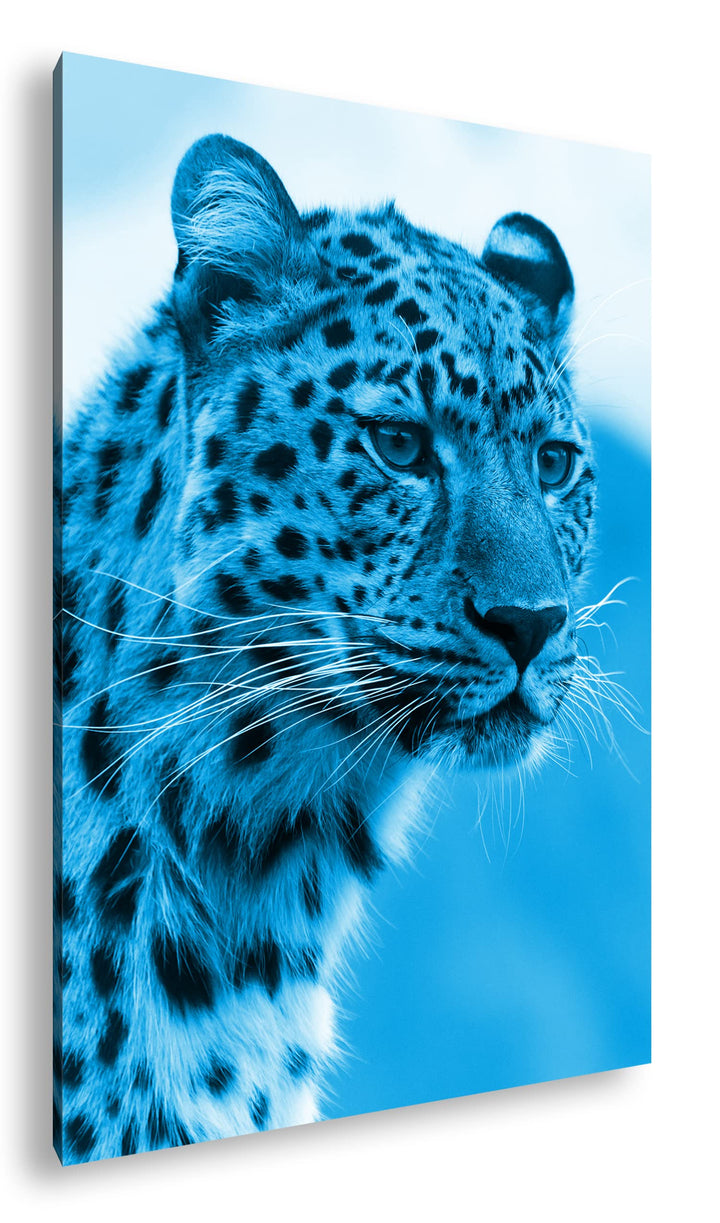 deyoli süsser Leopard Format 100x70 Effekt: Monocrome Blau als Leinwandbild, Motiv fertig gerahmt au
