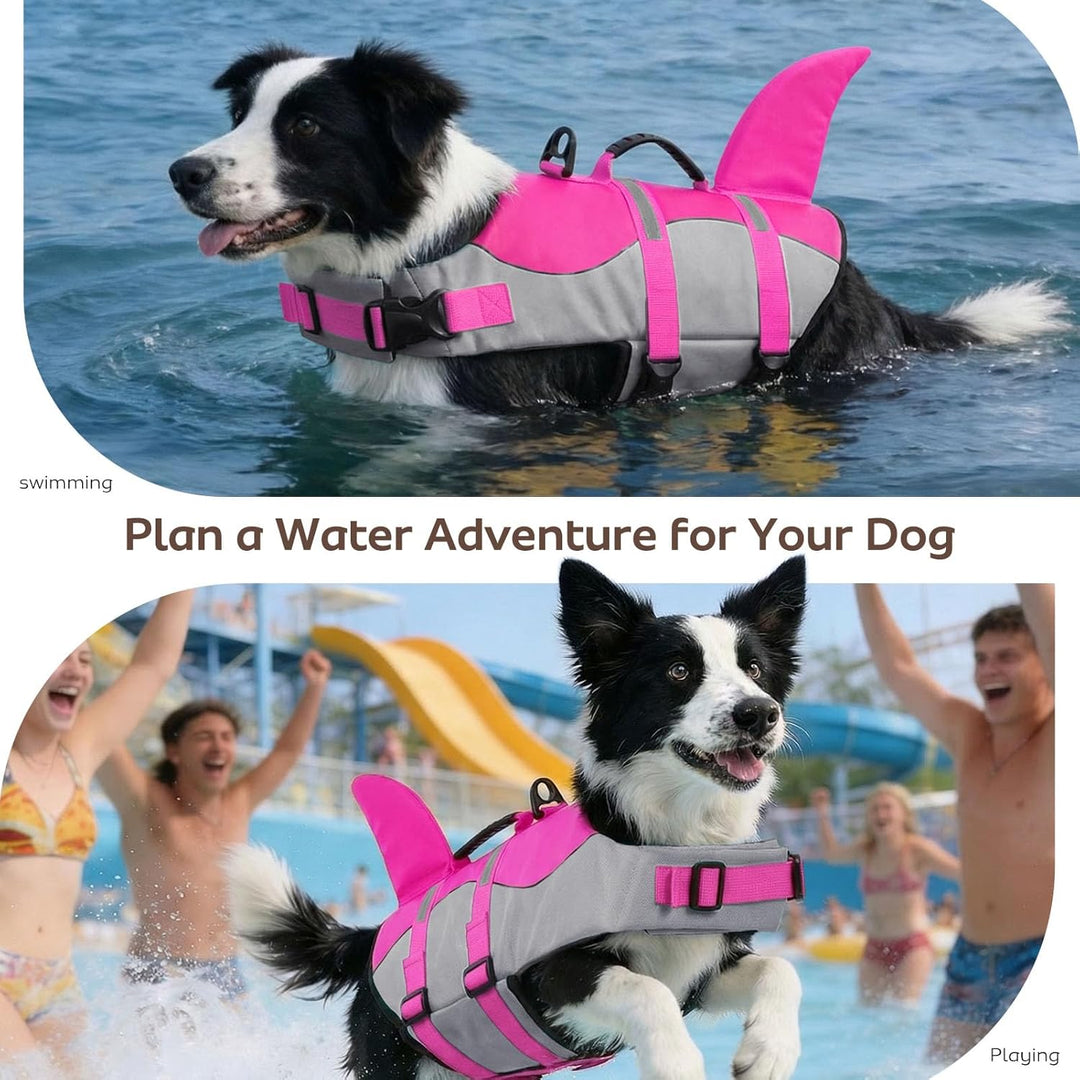 CITÉTOILE Schwimmweste Hunde Hai, Leicht und Sicher für Wassersport, hundeschwimmweste mit Griff und