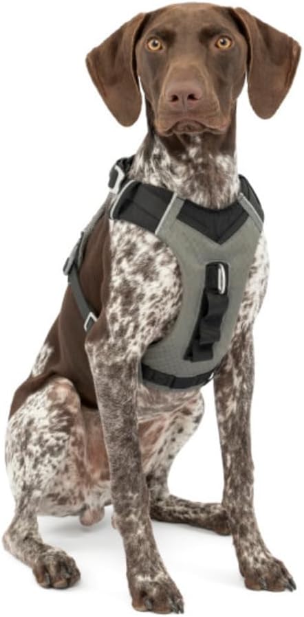 Kurgo Journey Air Hundegeschirr, Mit gepolstertem Brustteil und Rückgriff, Für Hunde von 11-23 kg, G