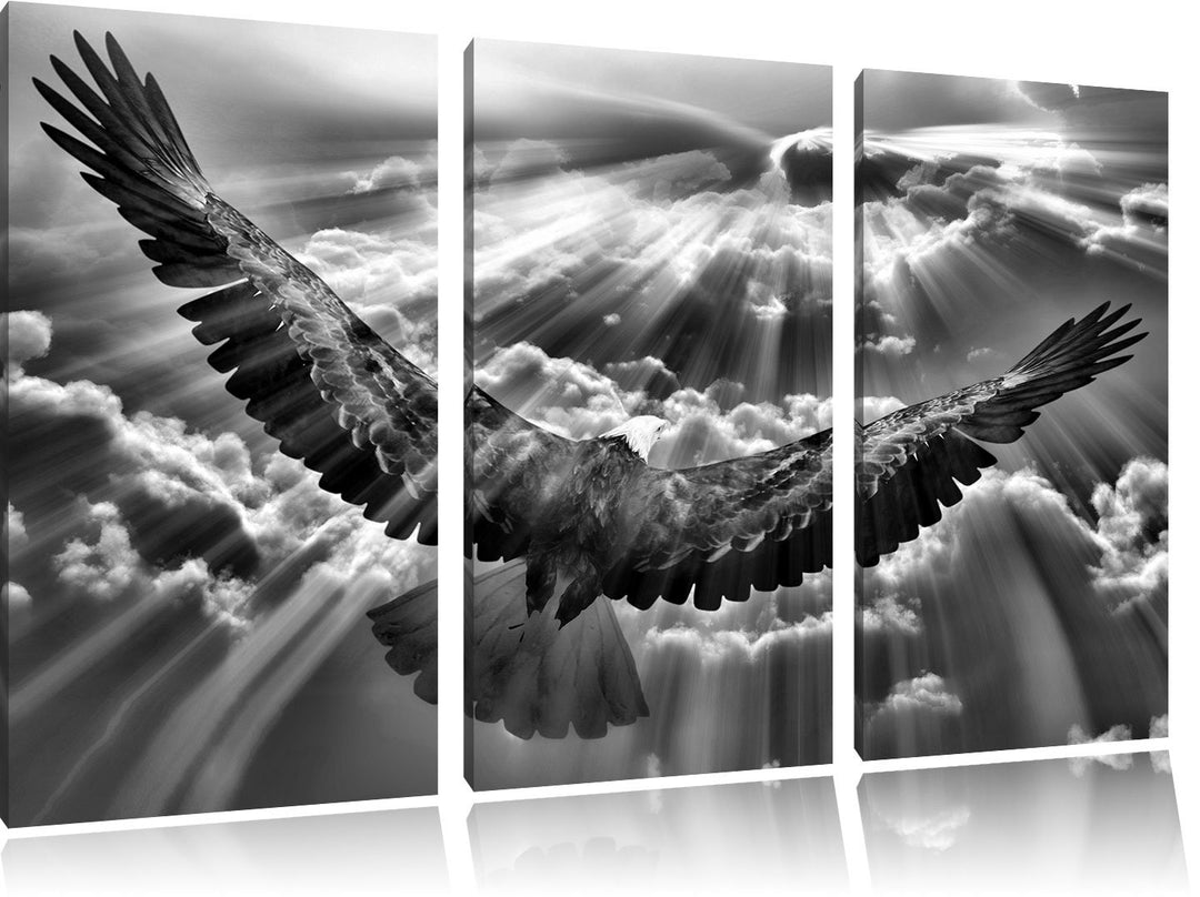 Pixxprint Adler über den Wolken als Leinwandbild/Grösse: 3 Teilig (120x80) cm/Wandbild/Kunstdruck/fe