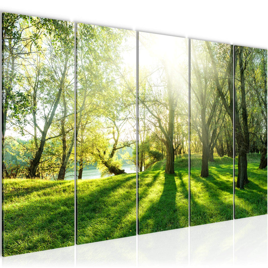Runa Art Bild Wald Landschaft Wandbilder auf Vlies Leinwand 5 Teilig Wanddekoration Schlafzimmer Woh