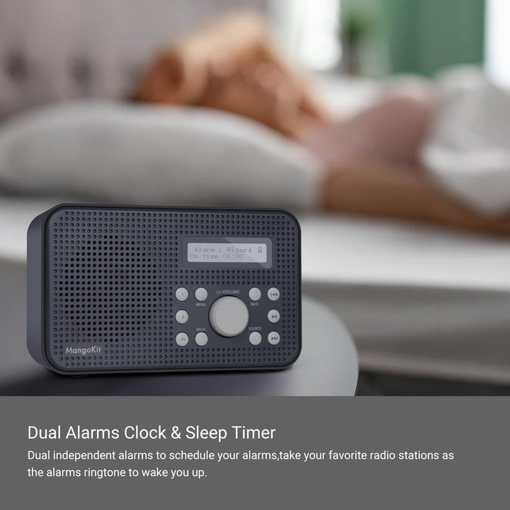 LEMEGA MP2 Portable DAB Radio (Dunkelgrau, MP2) MP2 Dunkelgrau, MP2 Dunkelgrau
