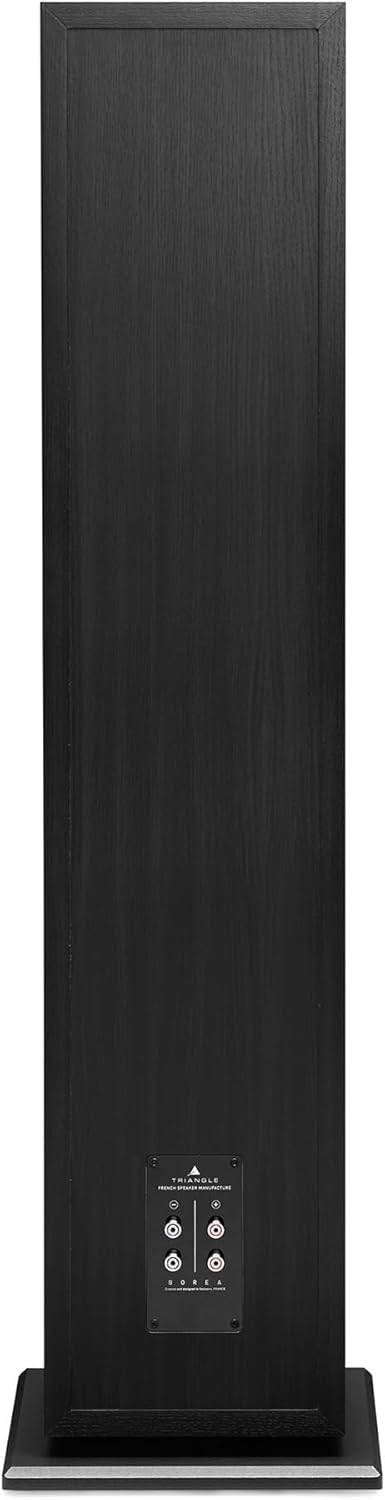 TRIANGLE - BOREA BR10 Hi-Fi Standlautsprecher - Belastbarkeit 200W - Leistung 92 dB/W/m - 21 cm Laut