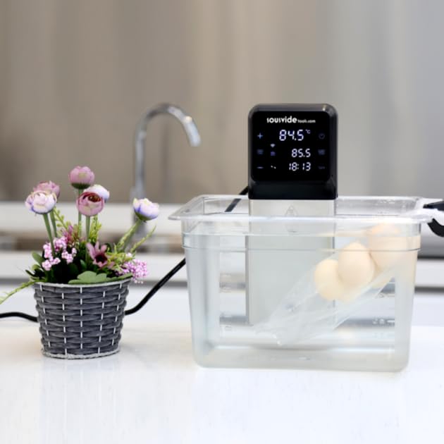 SousVideTools iVide Plus Jnr SVT-01005 thermischer Zirkulator, WiFi